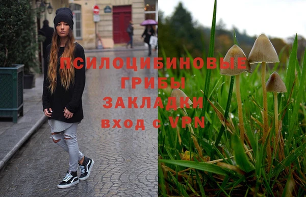 дурь Лиски