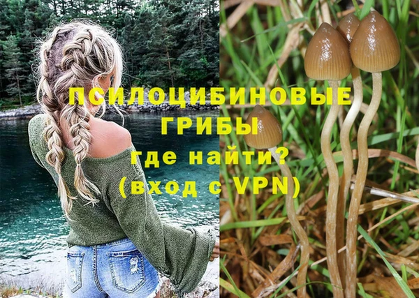 герыч Липки