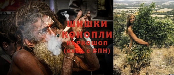 дурь Лиски