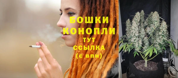 дурь Лиски
