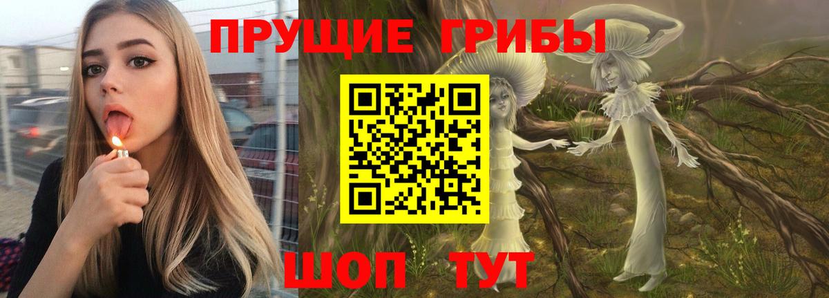 Галлюциногенные грибы Psilocybine cubensis  Псилоцибиновые грибы Cubensis  Вход с VPN  купить закладку  Новочебоксарск 