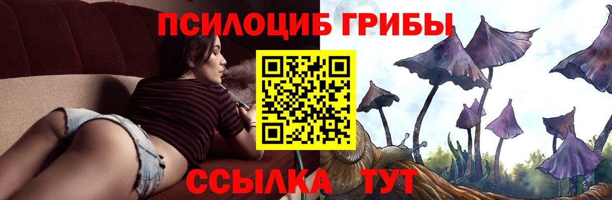 Галлюциногенные грибы мухоморы Новочебоксарск